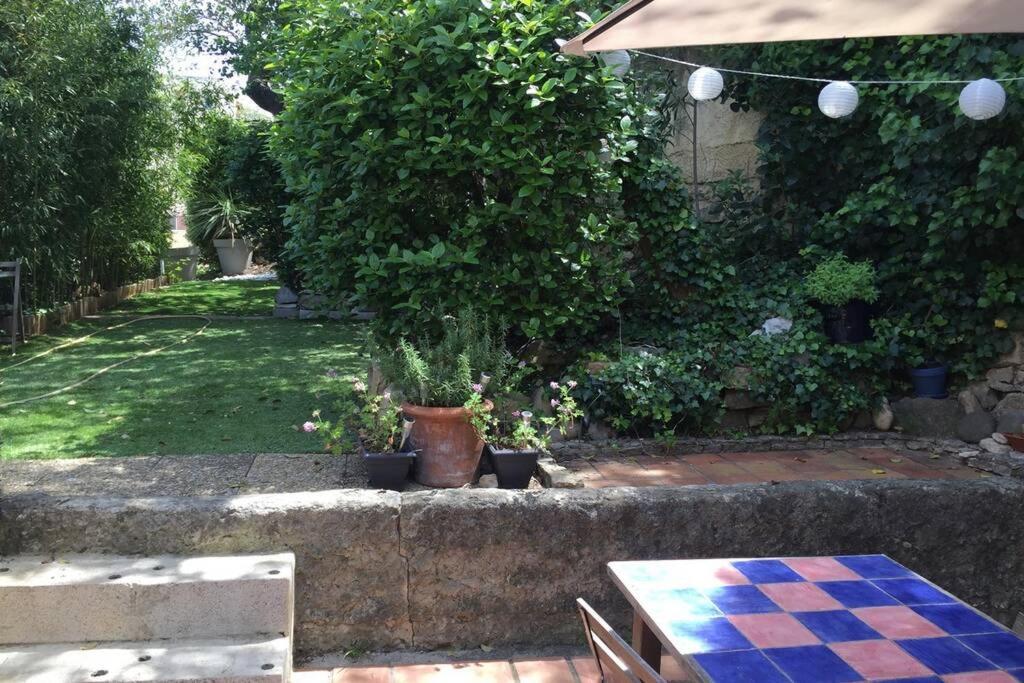 La Cassirene - Maisonnette Centre Cassis - Jardin Экстерьер фото